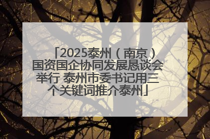 2025泰州（南京）国资国企协同发展恳谈会举行 泰州市委书记用三个关键词推介泰州