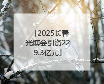 2025长春光博会引资229.3亿元