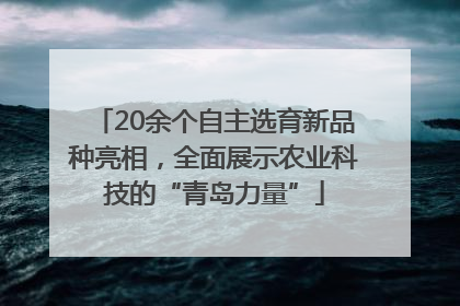 20余个自主选育新品种亮相，全面展示农业科技的“青岛力量”