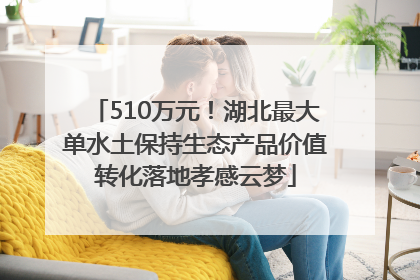 510万元！湖北最大单水土保持生态产品价值转化落地孝感云梦