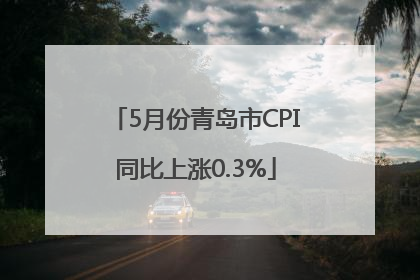 5月份青岛市CPI同比上涨0.3%