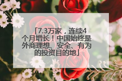 7.3万家，连续4个月增长！中国始终是外商理想、安全、有为的投资目的地