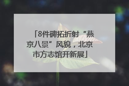 8件碑拓折射“燕京八景”风貌，北京市方志馆开新展