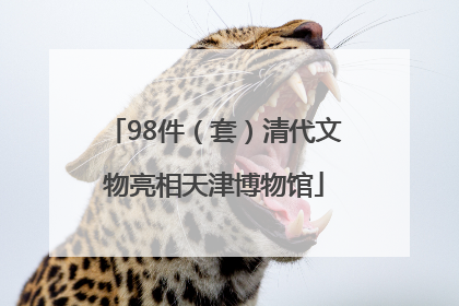 98件（套）清代文物亮相天津博物馆