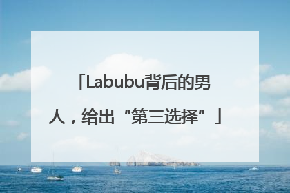 Labubu背后的男人，给出“第三选择”