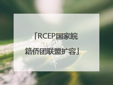 RCEP国家皖籍侨团联盟扩容